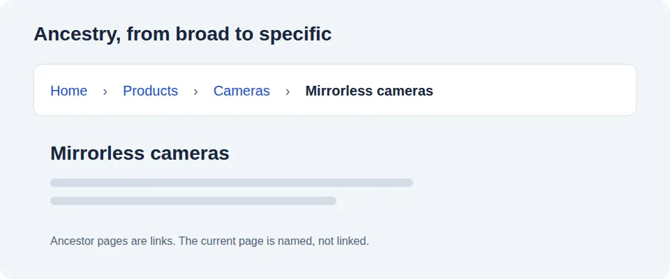 Home, Products and Cameras links lead to the current Mirrorless cameras page
