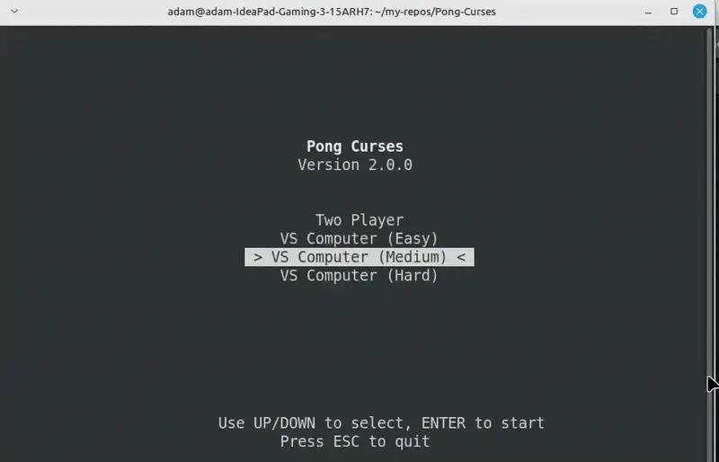 Pong Curses: a terminal menu offering two players or the computer at three levels